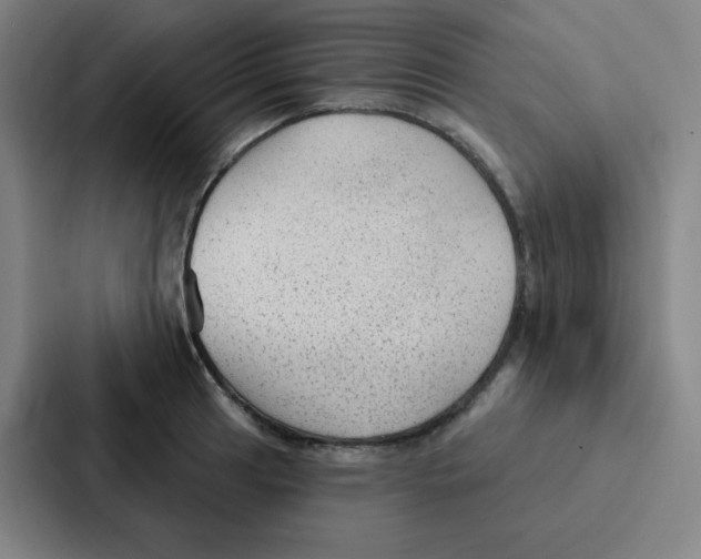 X0000086951041200705141818