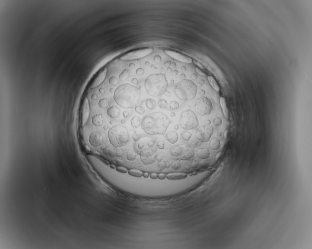 X0000086951044200705141818