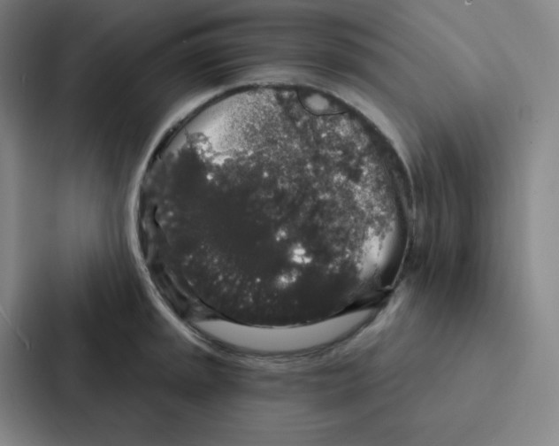 X0000086951045200705141818