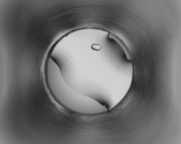 X0000086951046200705141818