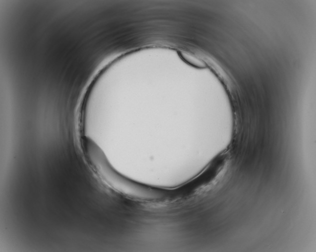 X0000086951048200705141818