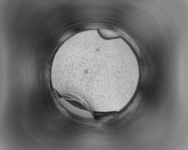 X0000086951049200705141818