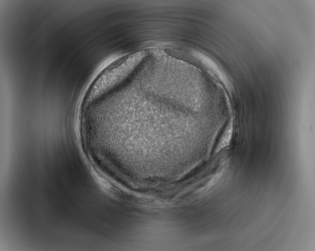 X0000086951050200705141818