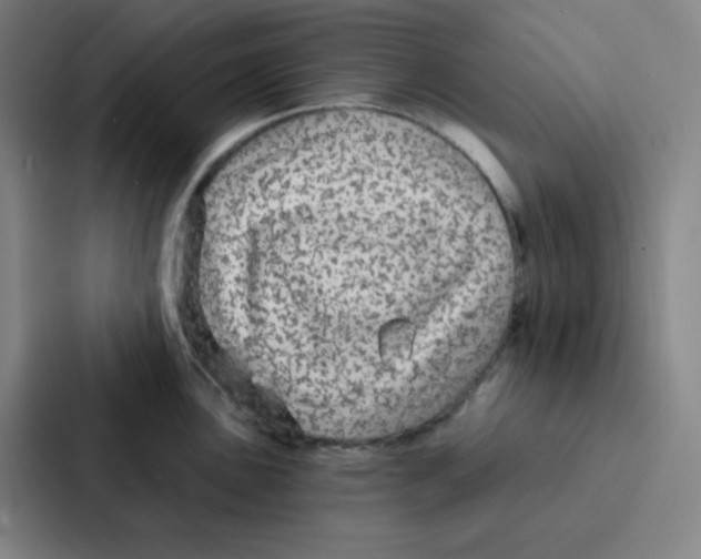 X0000086951051200705141818