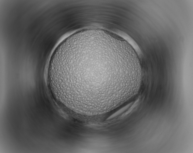 X0000086951052200705141818