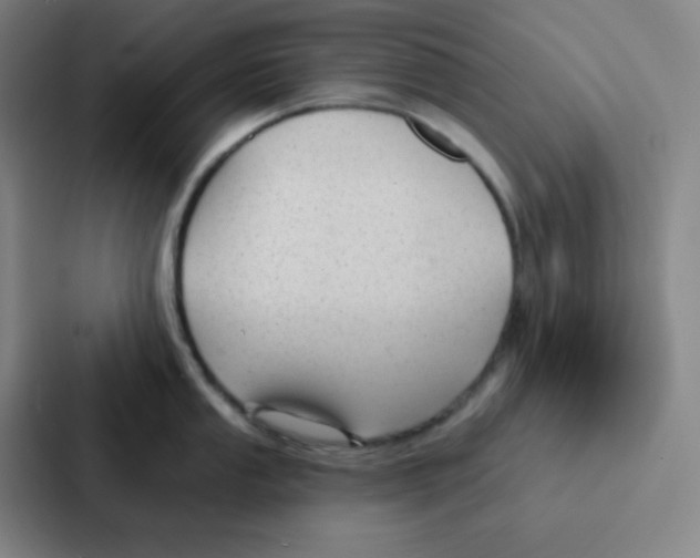 X0000086951053200705141818