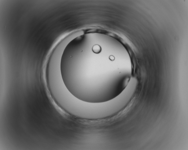 X0000086951054200705141818