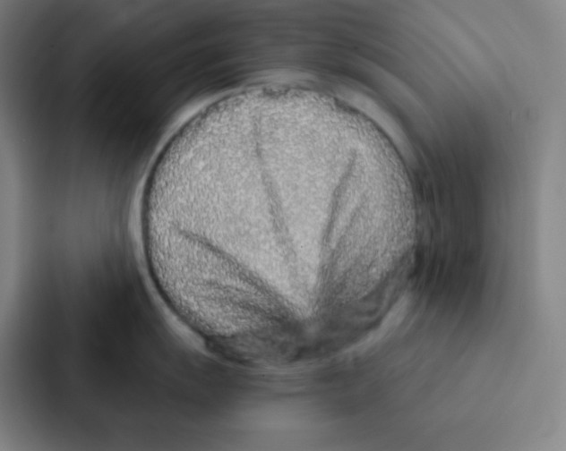 X0000086951055200705141818