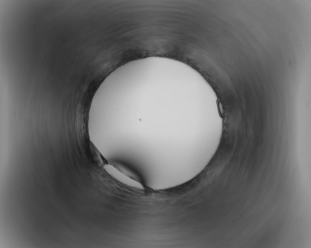 X0000086951058200705141818