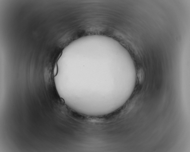 X0000086951059200705141818