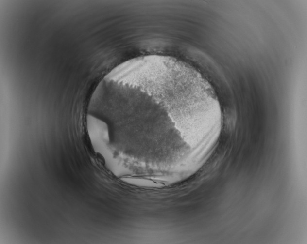 X0000086951060200705141818