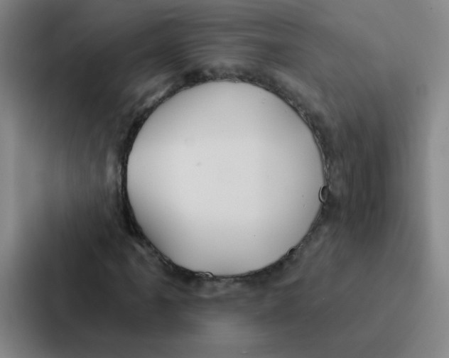 X0000086951061200705141817