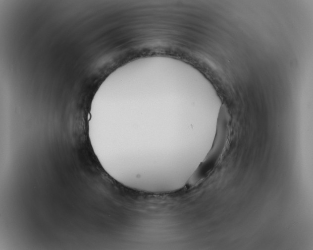 X0000086951062200705141817