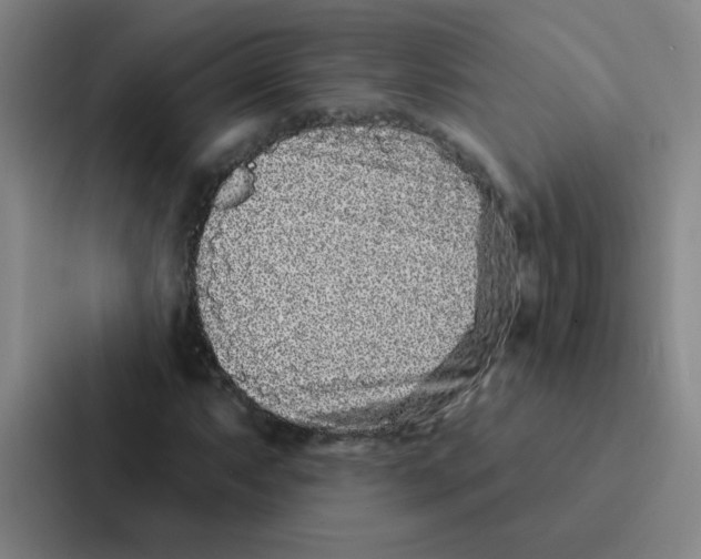 X0000086951063200705141817