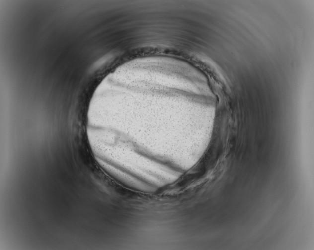 X0000086951064200705141817