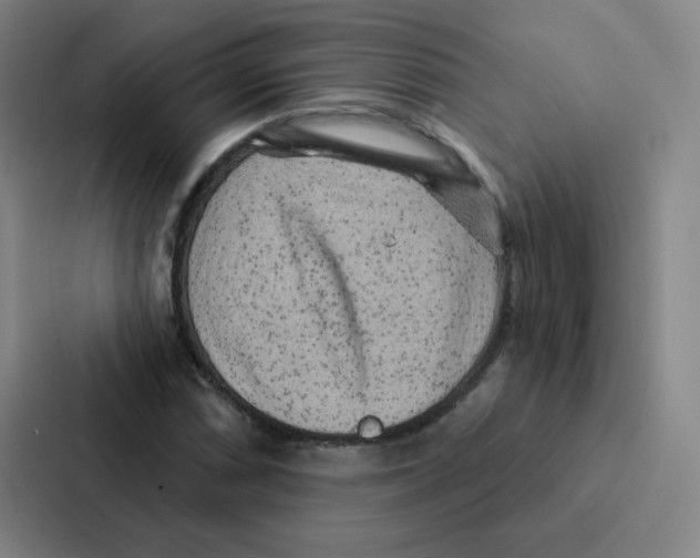 X0000086951066200705141817