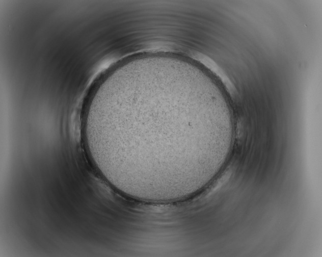 X0000086951067200705141817