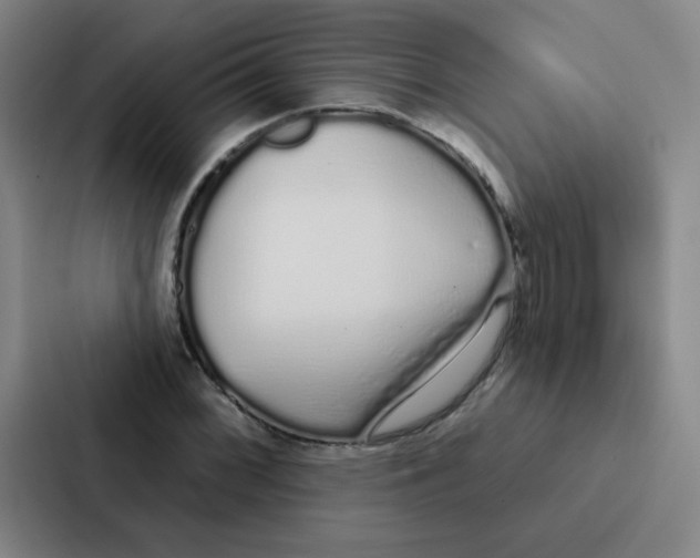 X0000086951068200705141817