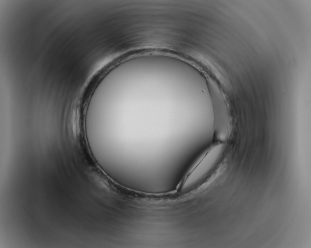 X0000086951069200705141817