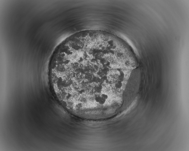 X0000086951071200705141817