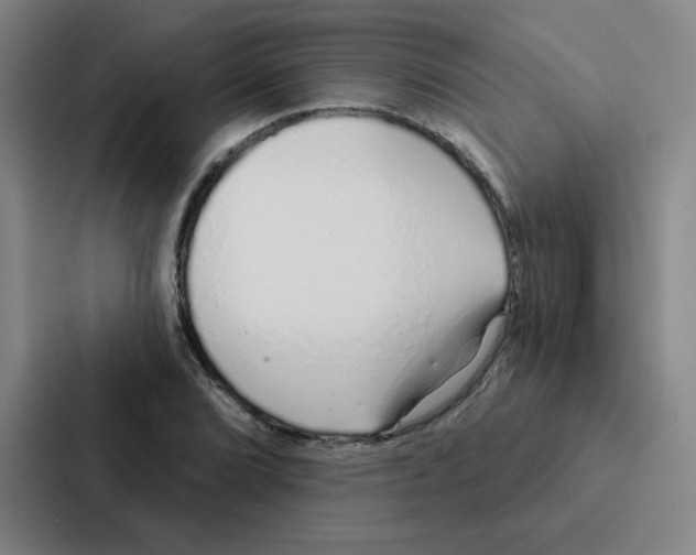 X0000086951072200705141817