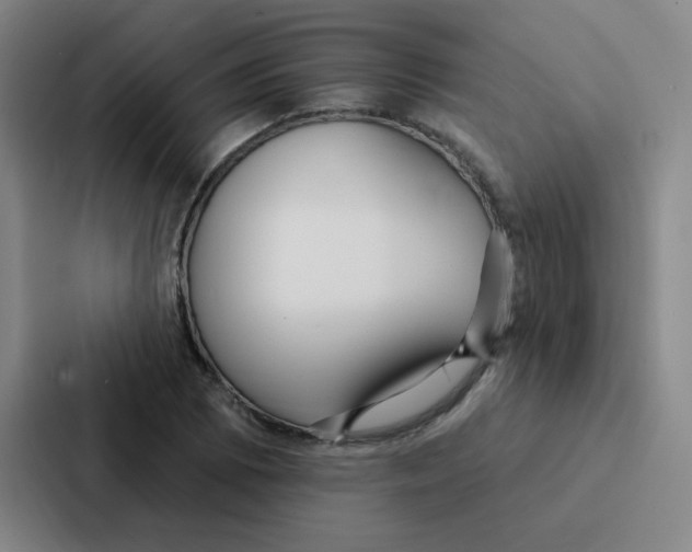 X0000086951073200705141817