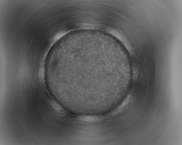 X0000086951074200705141817