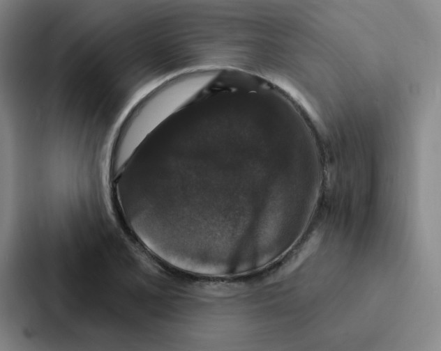 X0000086951077200705141817