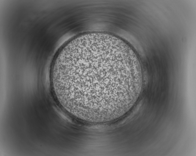 X0000086951078200705141817