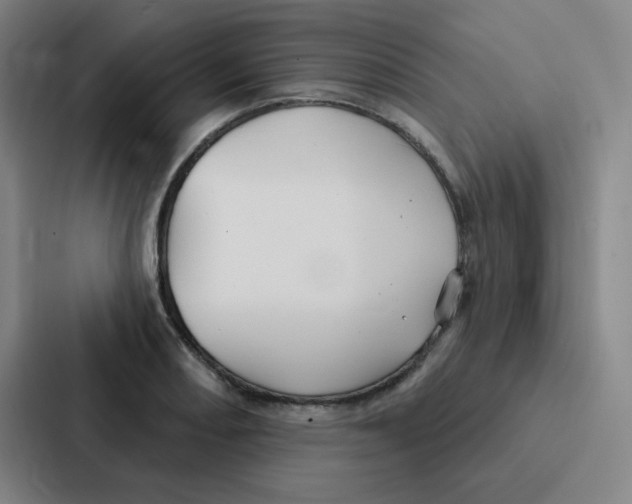 X0000086951082200705141817