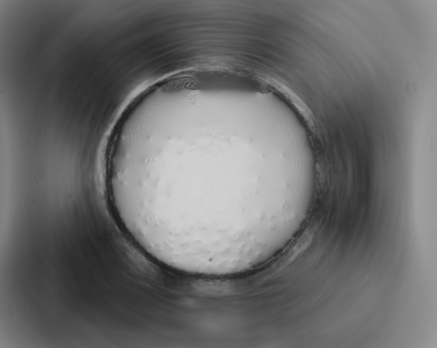 X0000086951083200705141817