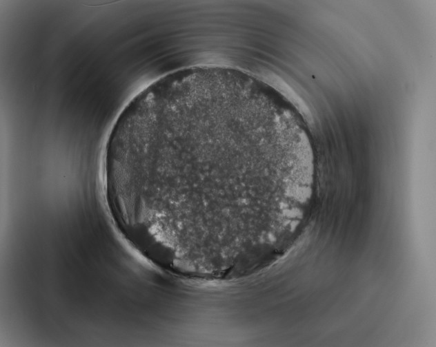 X0000086951084200705141817