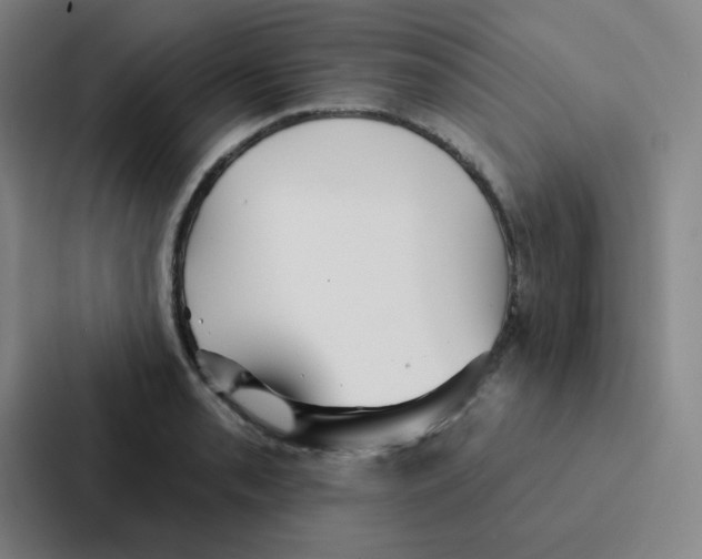 X0000086951085200705141817