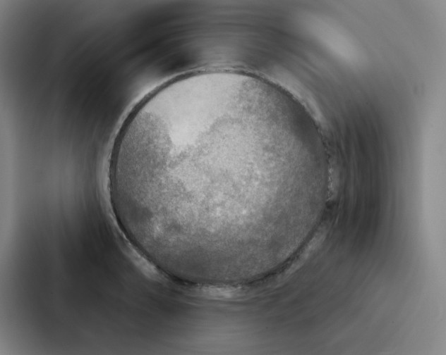 X0000086951086200705141817