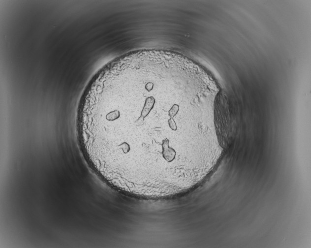 X0000086951087200705141817