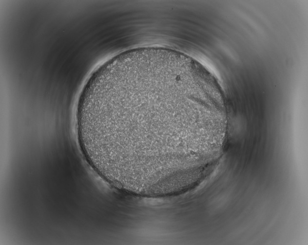 X0000086951088200705141817