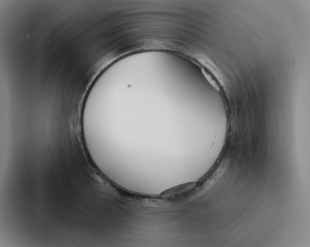 X0000086951089200705141817