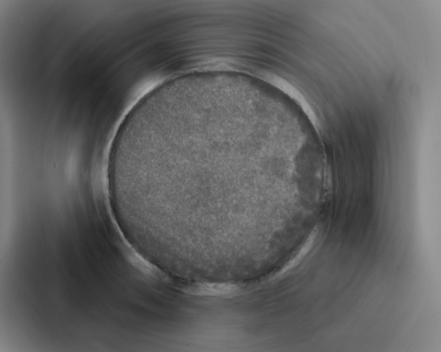 X0000086951090200705141817