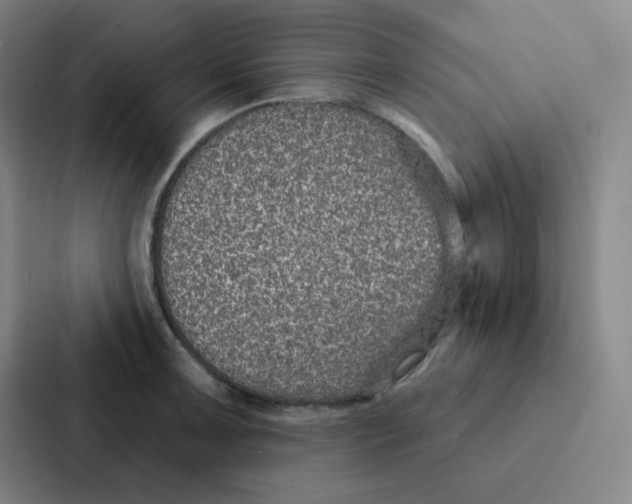 X0000086951091200705141817