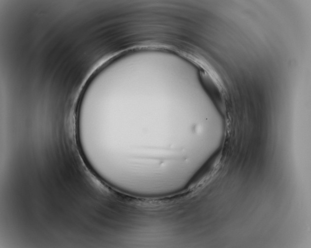 X0000086951092200705141817