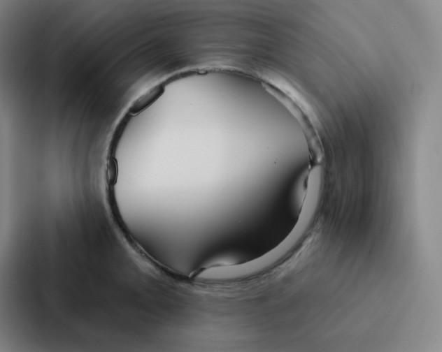 X0000086951093200705141817