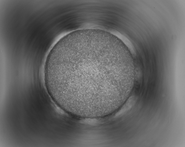 X0000086951094200705141817