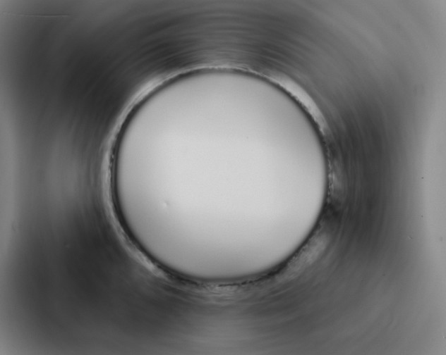 X0000086951096200705141817