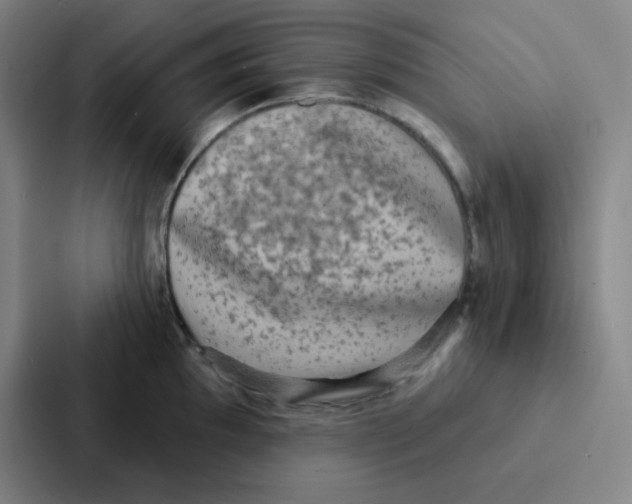 X0000086951097200705141817