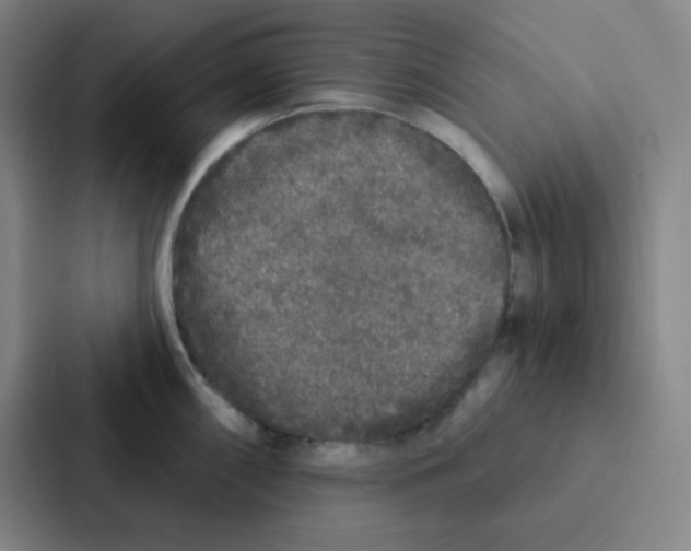 X0000086951098200705141817