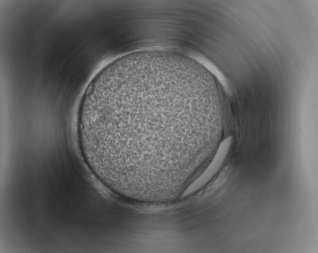 X0000086951099200705141817