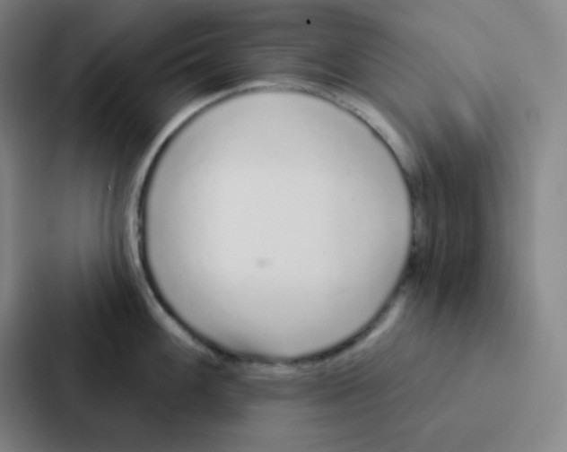 X0000086951100200705141817