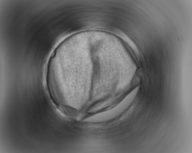 X0000086951102200705141817