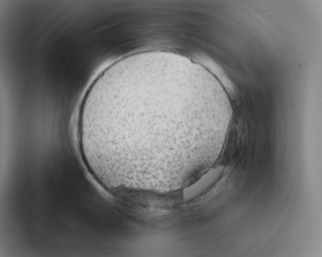 X0000086951103200705141817