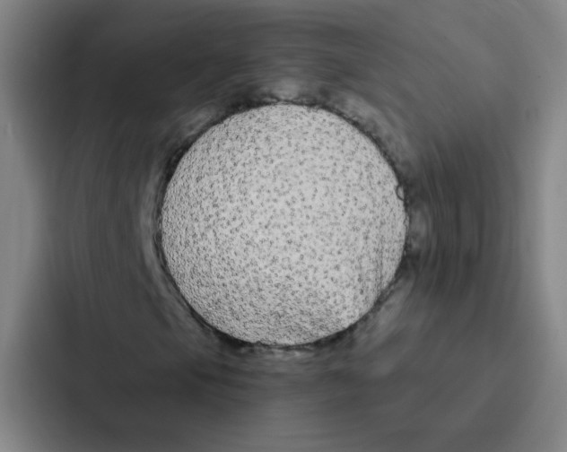 X0000086951105200705141816